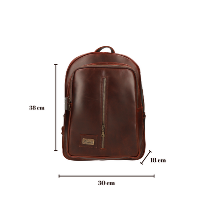 Back pack Mod. Tokio Mochila clasica cuero (shedron)